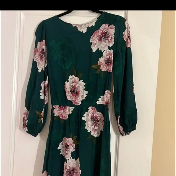 Anthropologie Tracey Reese dress - Picture 3 of 8